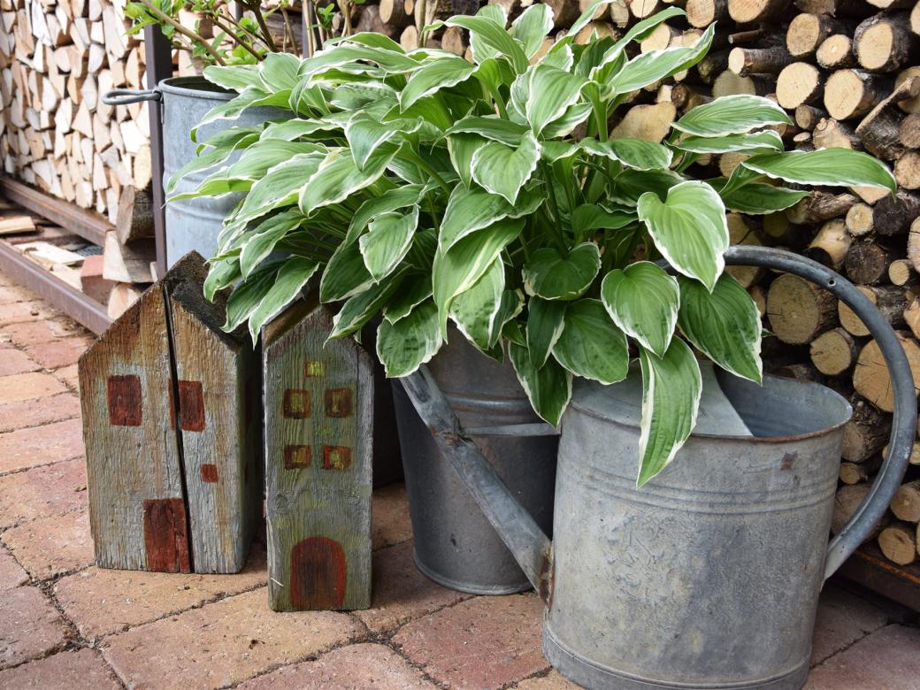 Der Garten der Ferienwohnung Hinterbrandner in Marktschellenberg im Berchtesgadener Land