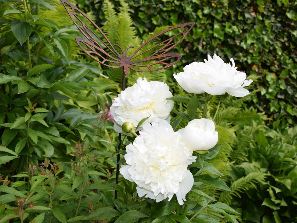 Der Garten der Ferienwohnung Hinterbrandner in Marktschellenberg im Berchtesgadener Land